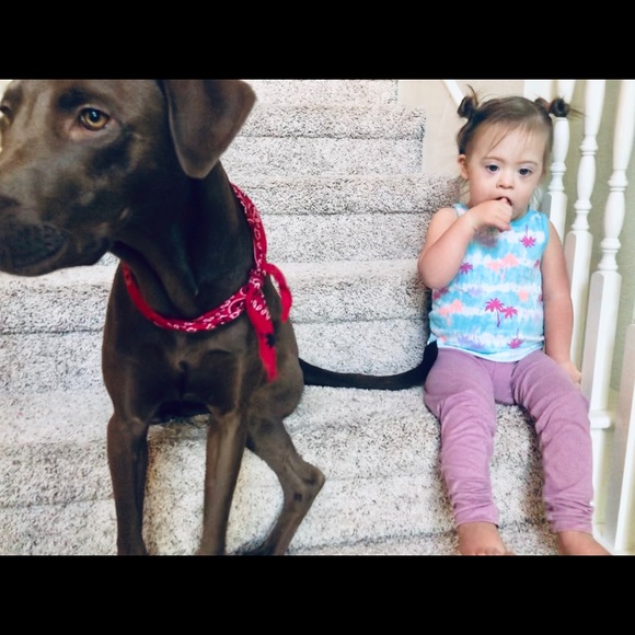 Meet your Posher, Kasey - Picture 6 of 8